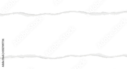 torn paper background