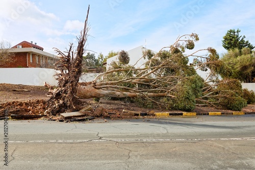 Quadro su tela Destruction caused by extreme stormy weather.