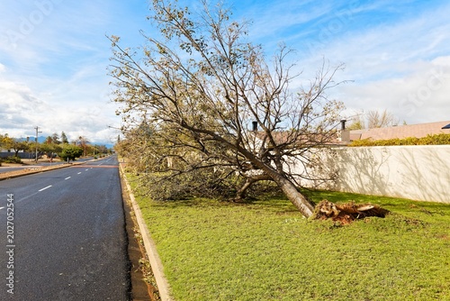 Foto Destruction caused by extreme stormy weather.