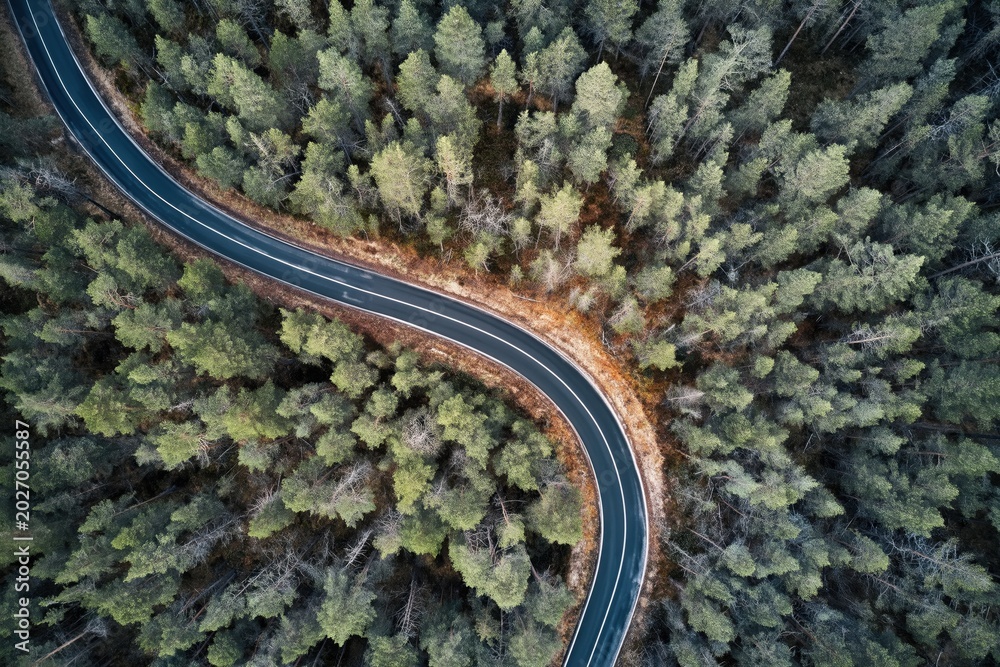 Fototapeta premium Winding road curving through a green forest landscape