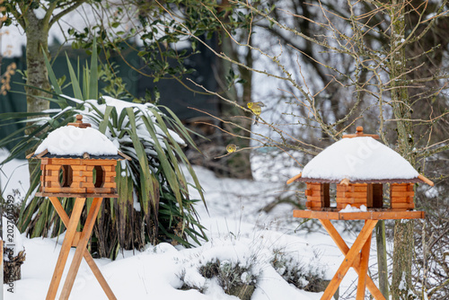 Reichlich Futter muss man den Vögeln im Winter anbieten