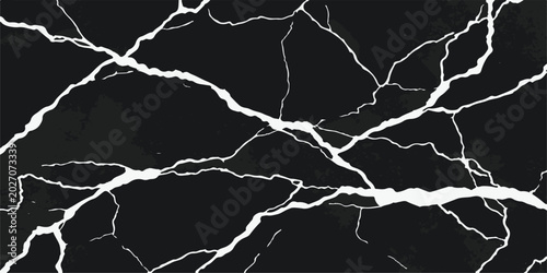 Fotografie Elegant black marble texture with white veins for luxury background abstract wal