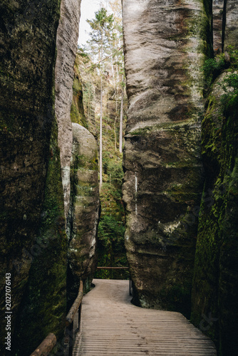 rocks
