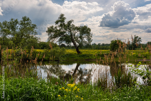 Naturschutzgebiet am ehemaligen Deichhof Langenlonsheim/Gensingen