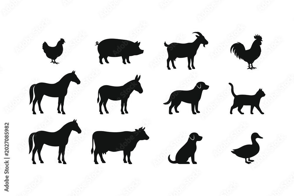 Fototapeta premium Black silhouettes of various farm and domestic animals