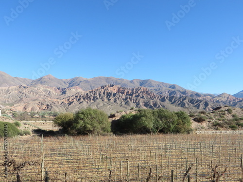 mountain landscape with blue sky
