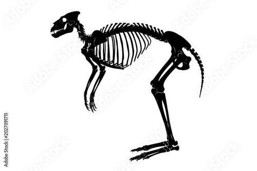 Valokuva Dinosaur Skeleton Illustration: A stark, detailed black silhouette illustration of a dinosaur skeleton, showcasing its bony structure and skeletal form