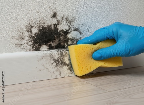 A person wearing blue gloves wipes away toxic black mold growing on a damp home wall