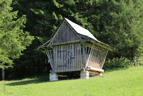 Traditional wooden storage shed in a lush green forest setting