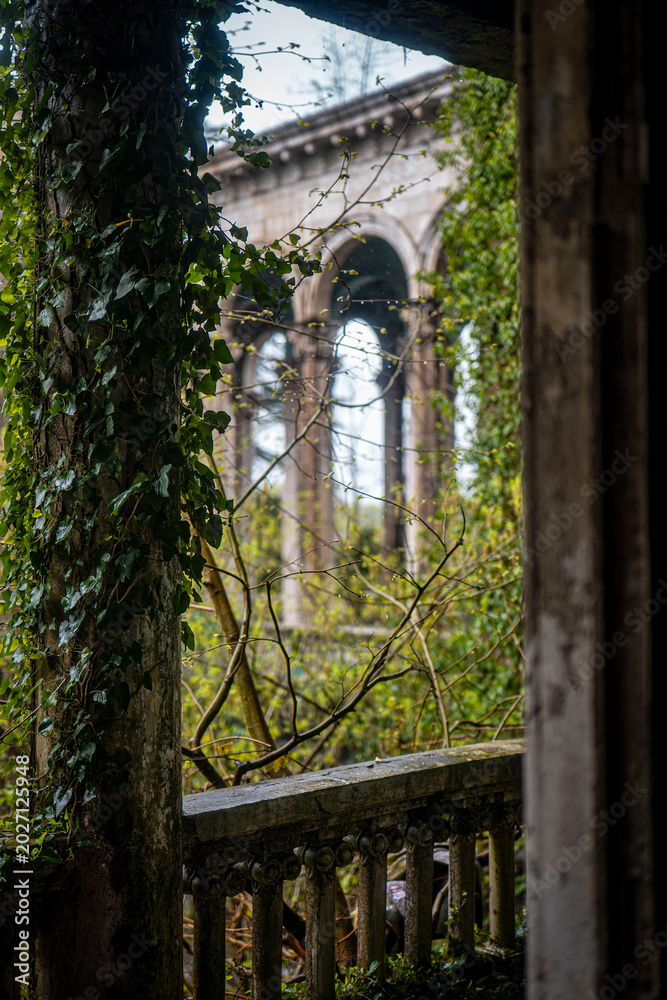 Naklejka premium Nature Taking Over Abandoned Interior Space