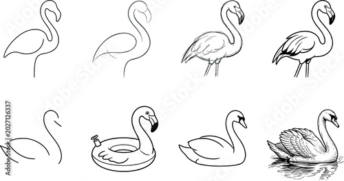Fotografi Flamingo and Swan Outline Drawing Collection with Water Bird Sketches Pool Float