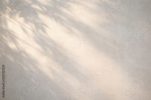 Gentle morning light with shadows on matte white concrete wall background