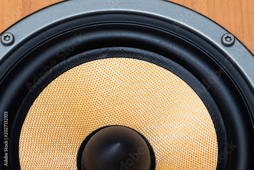 Vászonkép Detailed Macro Photograph Of Modern Home Audio Speaker Woofer And Black Surround