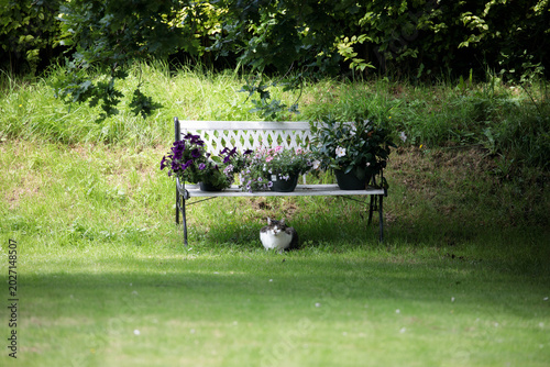 Photography Banc fleuri dans un jardin