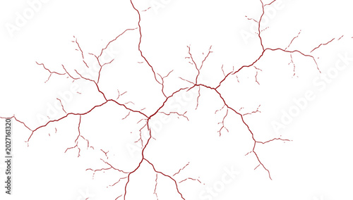Foto Abstract Red Veins Pattern on White Background