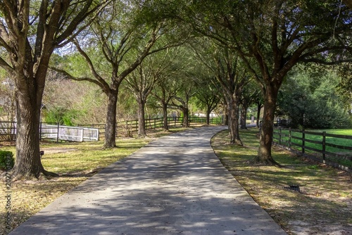 path in the park