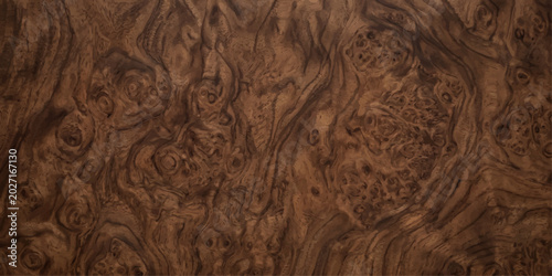 Exotic burl wood grain texture, featuring rich, swirling patterns of dark brown and amber, evoking a sense of natural luxury and sophistication.