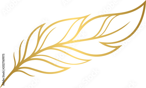 Golden Elegant Feather Icon Vector