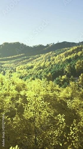 Bright daylight covers a landscape filled with green trees and mountains. The scene shows changes in tree colors typical of autumn. The view captures natures beauty without human presence.