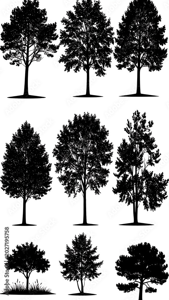 Fototapeta premium Silhouettes of nine diverse trees, rendered in black against a white background