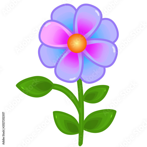 violet flower isolated on white background