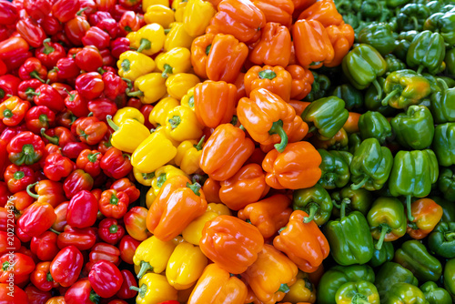 red yellow green and red peppers