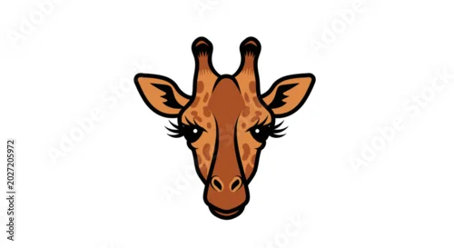 Fototapeta Closeup of a giraffe head looking.