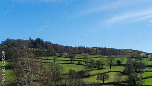 Cuadro en lienzo A landscape with hills, green fields, trees, and stone walls on a sunny day with