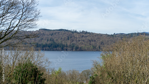 Fotografie A forest landscape on a mountainside near a lake
