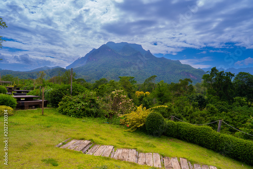 Slika na platnu Lush green garden with wooden path and vibrant bushes under cloudy sky with doi
