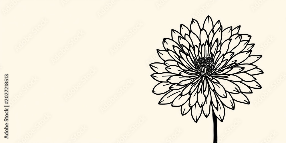 Obraz premium Black line chrysanthemum floral symbol perfect for promotional material graphics