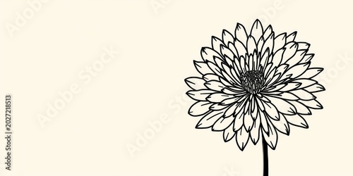 Black line chrysanthemum floral symbol perfect for promotional material graphics