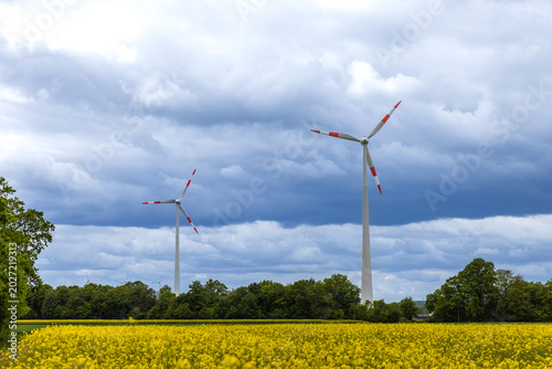 wind turbines in the field