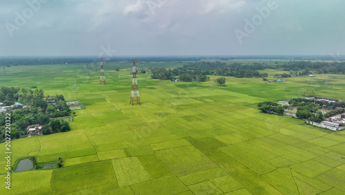Foto Green paddy fields with power pylons in rural bangladesh