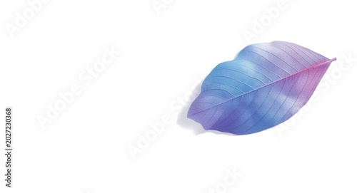 Abstract white background with blue and purple textured leaf
