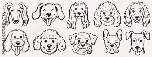 Photography Scribble Chalk Charcoal Style Dogs Drawing, cute whimsical puppy dog scribble sk