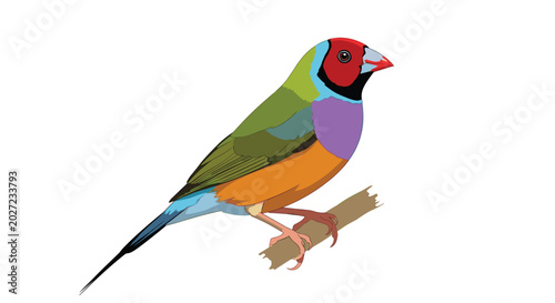 Exotically colored bird with green, orange, blue, and purple feathers perched on a brown branch against a solid white background for nature theme.