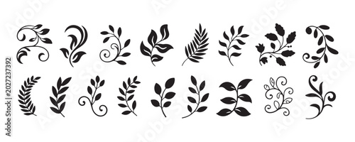 Set of floral leaf branches and botanical scroll flourishes for elegant wedding card decoration.