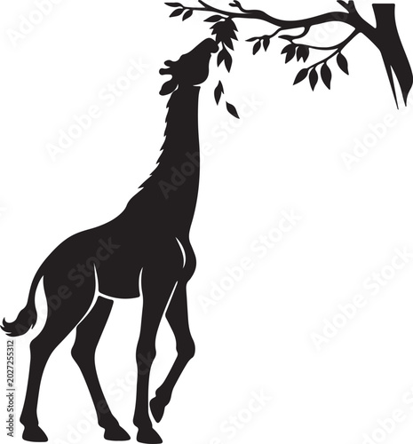 Photography Vector silhouette of a giraffe