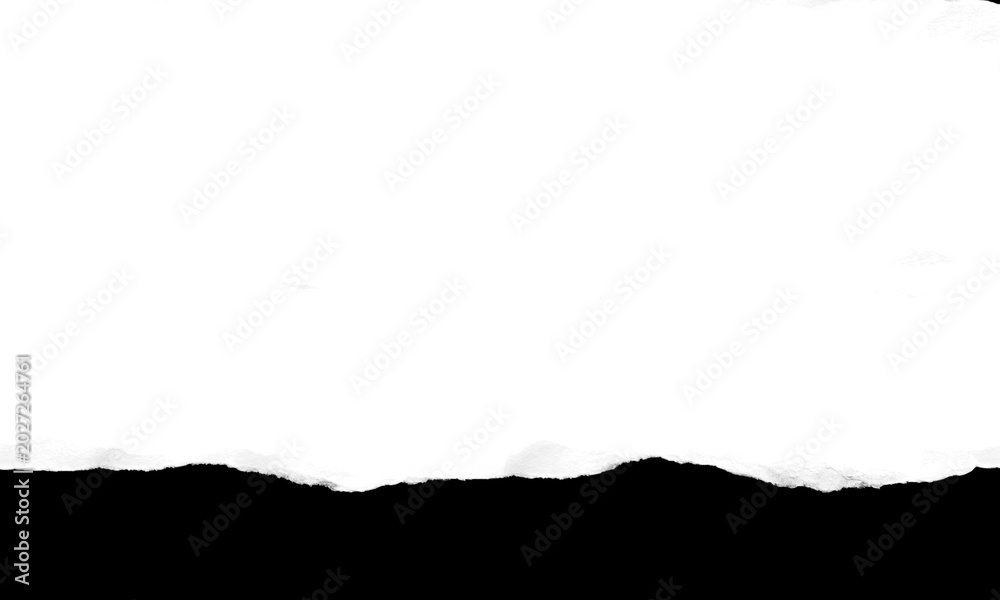 Fototapeta premium Torn paper edge with ripped fragments, white background texture