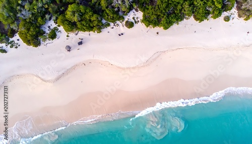 Overhead drone view of a tropical beach coastline with gentle waves lapping the sandy shore and lush green trees lining the edge, evoking tranquility and vacation.