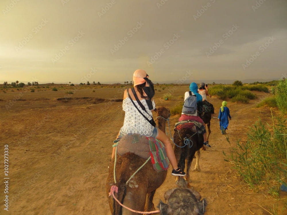 Φωτογραφία Tourists riding camels in Zagora Desert, Morocco