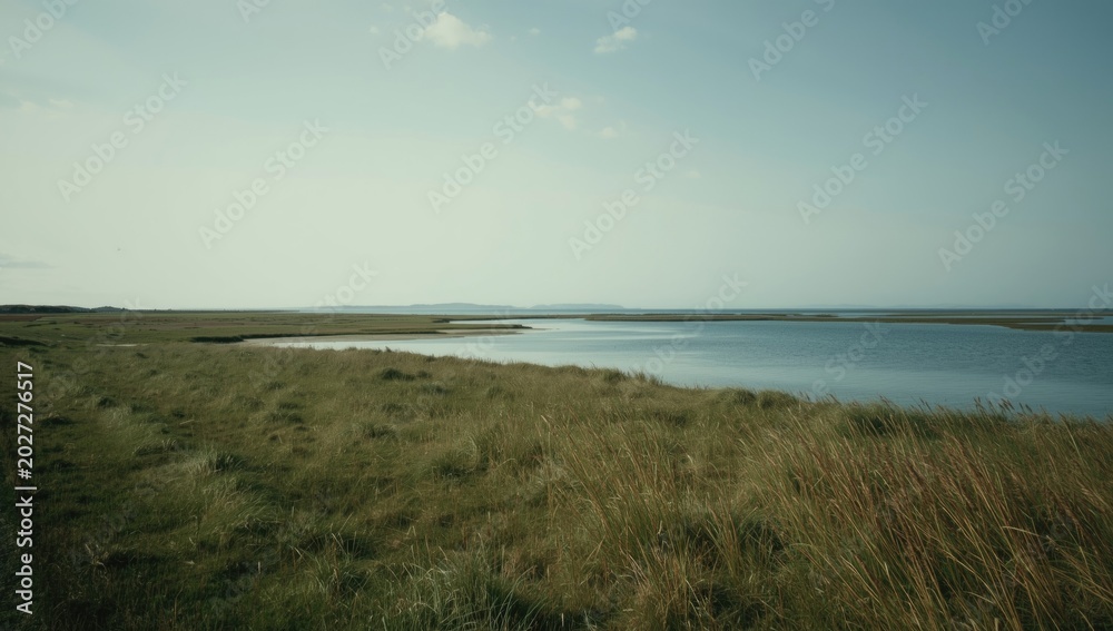 Fototapeta premium Calm rural shoreline scene with open grassy fields and distant water