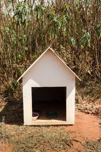 Wooden Dog House in my Backyard against a grassy area