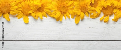 Bright sunflower petals sca...