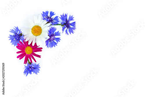 White and pink daisies and blue cornflowers half frame on white background with copy space for text. Top view, flat lay