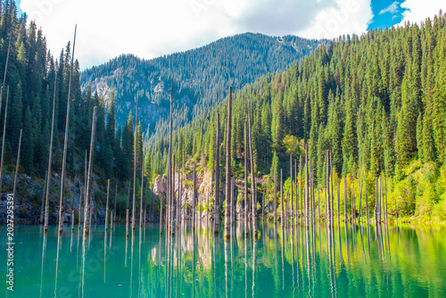 Sunken forest of Lake Kaindy in Kazakhstan. Beautiful mountain natural landscape. A blue lake with tree trunks sticking out of it. Panoramic view of the reserve.