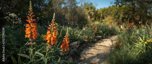 Bright Snapdragon blossoms ...