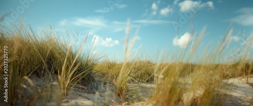 Calm shoreline featuring lu...