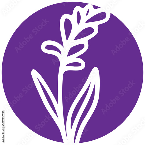 Lavender flower over the white background